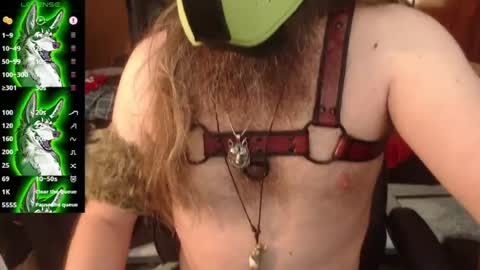 kinkywolf87 online show from July 2026 08:45:01 PM