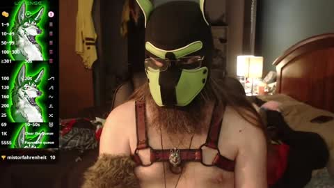 kinkywolf87 online show from July 2026 03:47:01 PM