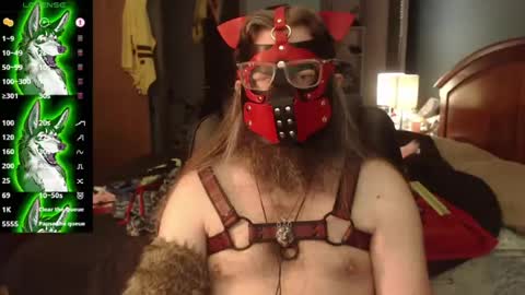 kinkywolf87 online show from July 2026 04:54:02 PM