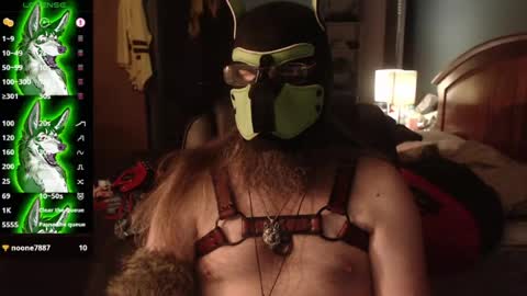 kinkywolf87 online show from July 2026 04:43:02 AM