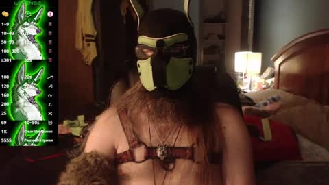kinkywolf87 online show from July 2026 05:59:01 AM