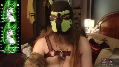 kinkywolf87 online show from July 2026 05:09:01 PM
