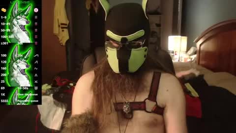 kinkywolf87 online show from July 2026 04:05:02 PM
