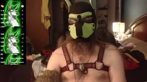 kinkywolf87 online show from July 2026 11:15:01 PM