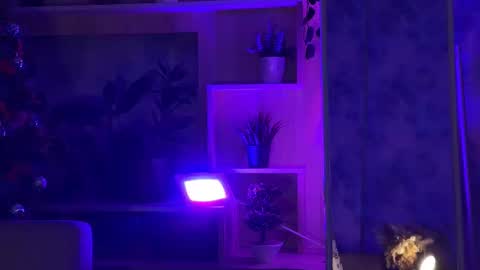 Kira    online show from February 2025 04:42:02 PM