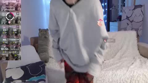 Kisi online show from December 2024 11:29:02 PM