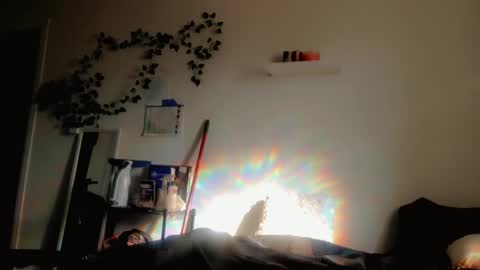 Kissah Kreampuff online show from October 2025 11:44:02 PM