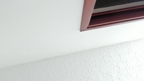 Snapshot of kissmesara chatting on February 2026 12:16:01 PM Sara online show from February 2026 12:16:01 PM