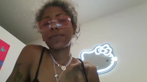 kitten404 online show from March 2026 02:38:02 AM