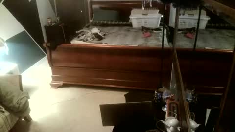 KittenKatch online show from February 2026 05:11:02 AM