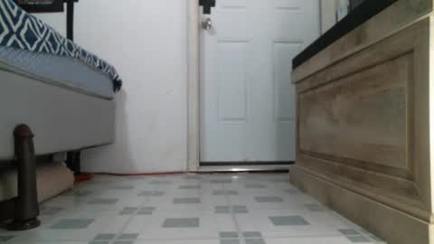 kitty2488 online show from May 2026 12:57:02 PM