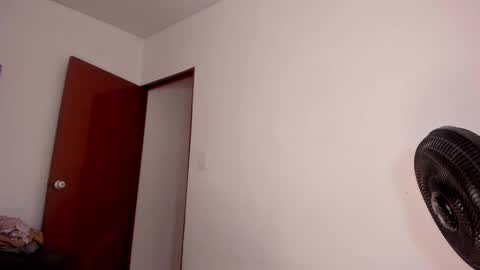 Sari bell online show from December 2024 12:55:02 AM