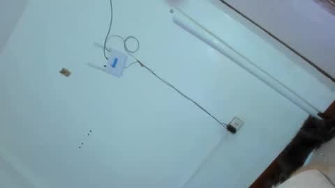 Grace online show from February 2025 02:47:02 AM