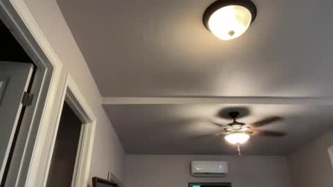 kittypurr79 online show from September 2025 02:02:01 AM