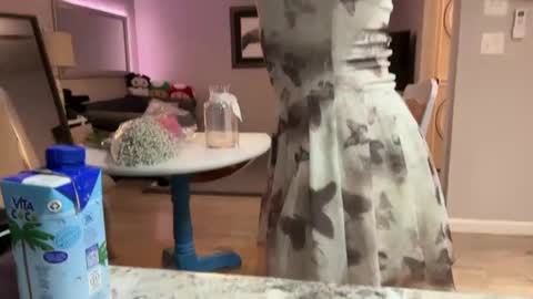 kittypurr79 online show from September 2025 03:11:01 AM