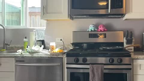 kittypurr79 online show from April 2026 10:51:01 PM