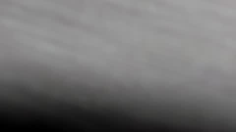  K I T T  Y  online show from February 2025 11:21:01 AM