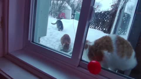 kiveuxmakeu online show from December 2024 09:11:01 PM