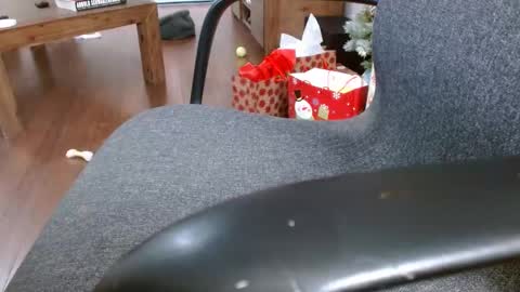 klok6187 online show from December 2024 04:01:02 AM