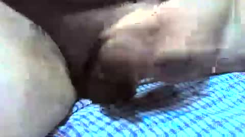 klok8230 online show from December 2025 02:38:01 AM