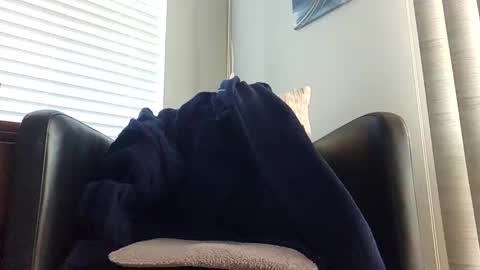 knightrider4324 online show from December 2024 07:06:01 PM