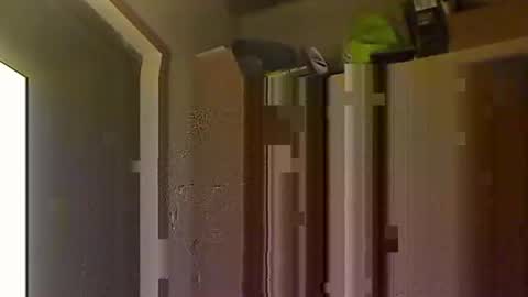 kokin3034 online show from October 2025 04:43:02 AM