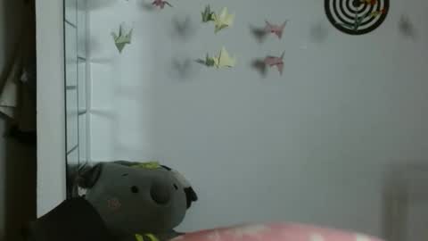 Karoll online show from January 2026 01:11:01 AM