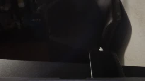 korek878 online show from October 2025 07:37:01 PM