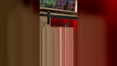 korysmith568 online show from February 2026 03:25:02 AM