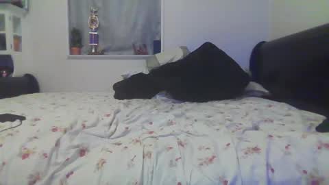 kpcloud255498 online show from October 2025 02:56:01 AM