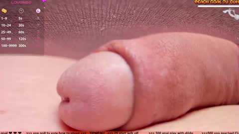 Snapshot of kpetra chatting on February 2025 07:38:01 PM Petra online show from February 2025 07:38:01 PM