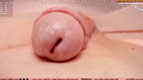 Petra online show from January 2026 07:49:02 PM