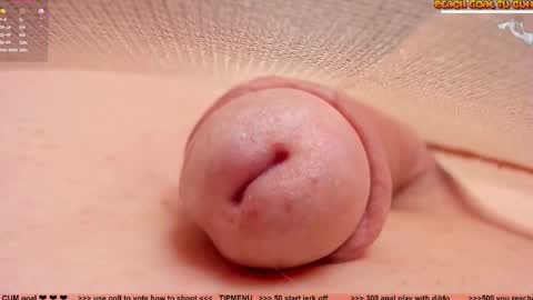 Petra online show from February 2026 08:05:02 PM