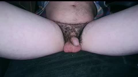 Cody online show from November 2025 09:52:02 AM