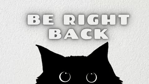   online show from March 2026 04:29:01 AM