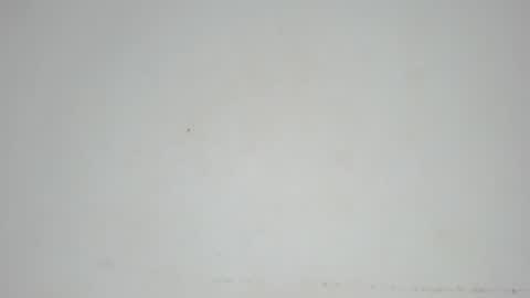 Cristina online show from February 2025 03:52:01 PM