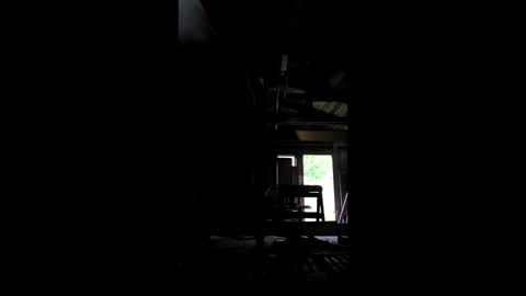 krizastonasdonatas online show from June 2026 02:36:02 AM