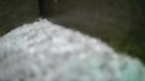 kvicali online show from April 2026 01:36:01 AM