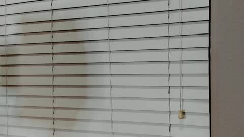 Kylie online show from January 2026 04:07:02 AM