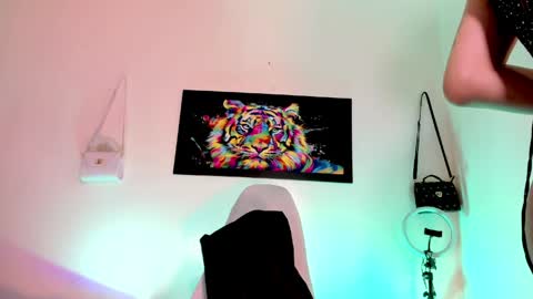 AriSaray online show from June 2026 11:21:01 AM