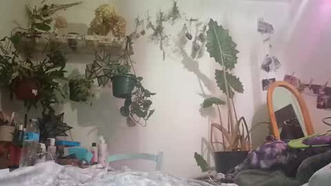 lacybell online show from December 2024 06:44:01 AM