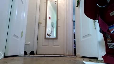 lacybell online show from January 2025 02:14:01 AM