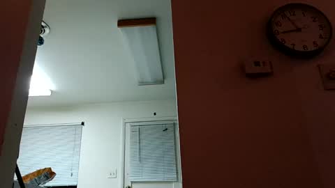 lacybell online show from January 2025 02:50:02 AM