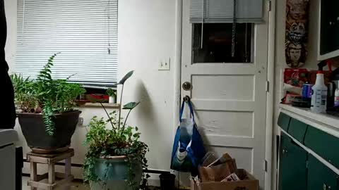 lacybell online show from February 2025 05:19:02 AM