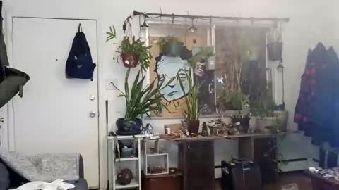 lacybell online show from March 2025 03:45:01 AM