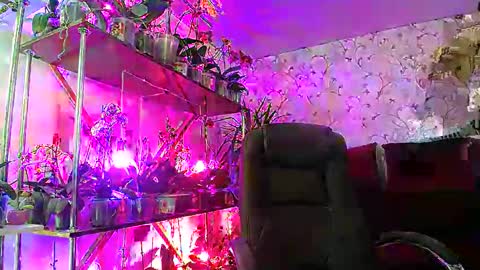 Snapshot of lady_gloria chatting on February 2025 08:40:01 AM Lady Gloria online show from February 2025 08:40:01 AM