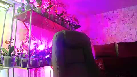 Snapshot of lady_gloria chatting on March 2025 12:11:02 PM Lady Gloria online show from March 2025 12:11:02 PM