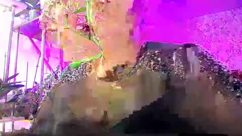 Snapshot of lady_gloria chatting on October 2025 07:38:02 AM Lady Gloria online show from October 2025 07:38:02 AM