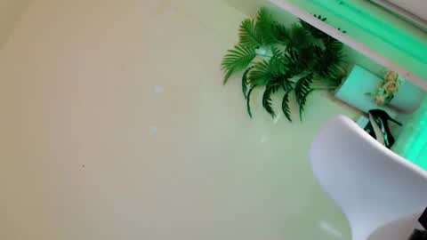 Stella online show from September 2025 11:32:02 PM