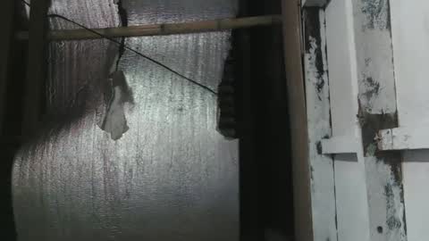 lady_love063 online show from January 2025 10:12:02 PM